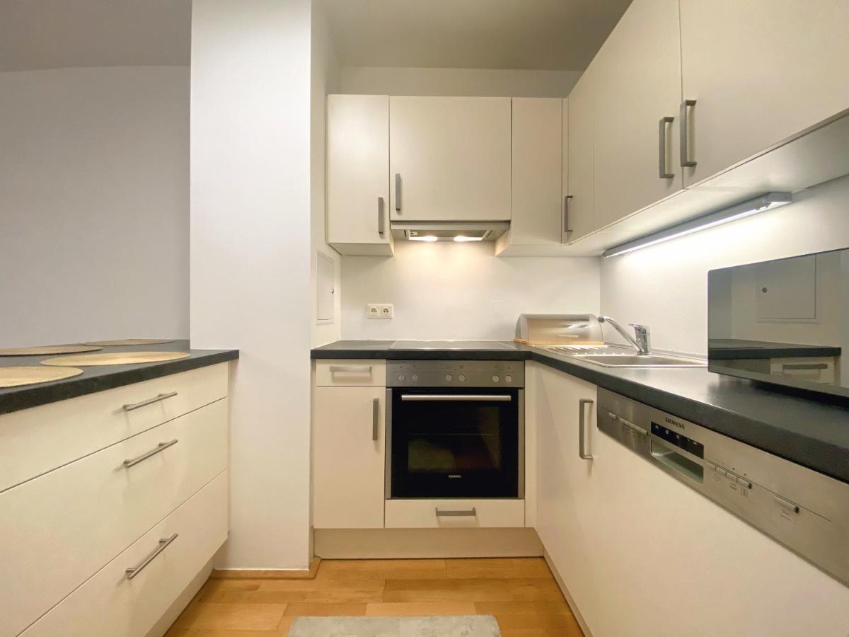 Near Lake Spacious & Furnished Beautiful Appartement Vienne